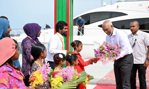 421551_3_e8d0da8bac02896bbe0736ca46e4e3351670db2e_large
